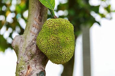 Steam夏日游戏节活动页面上线 展示列表更新中